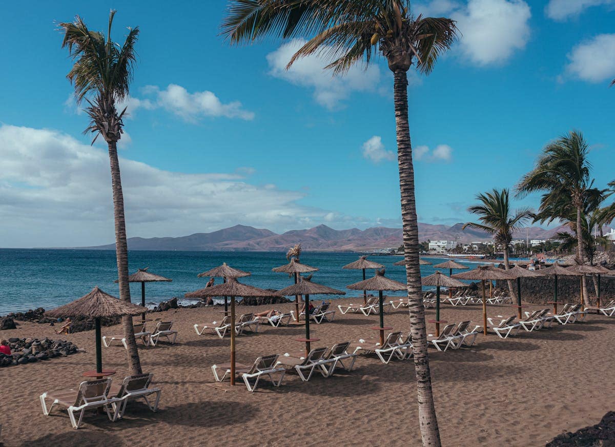 Palm trees and straw parasols lining a sandy Lanzarote beach with sunbeds and volcanic mountains in the background