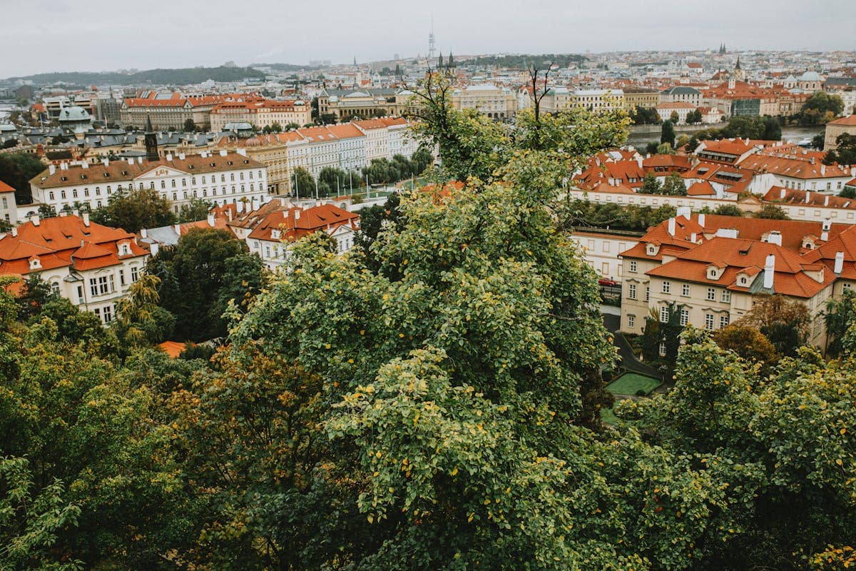 Panoramic view across Prague's Old Town showing red-tiled rooftops and lush green trees in early autumn