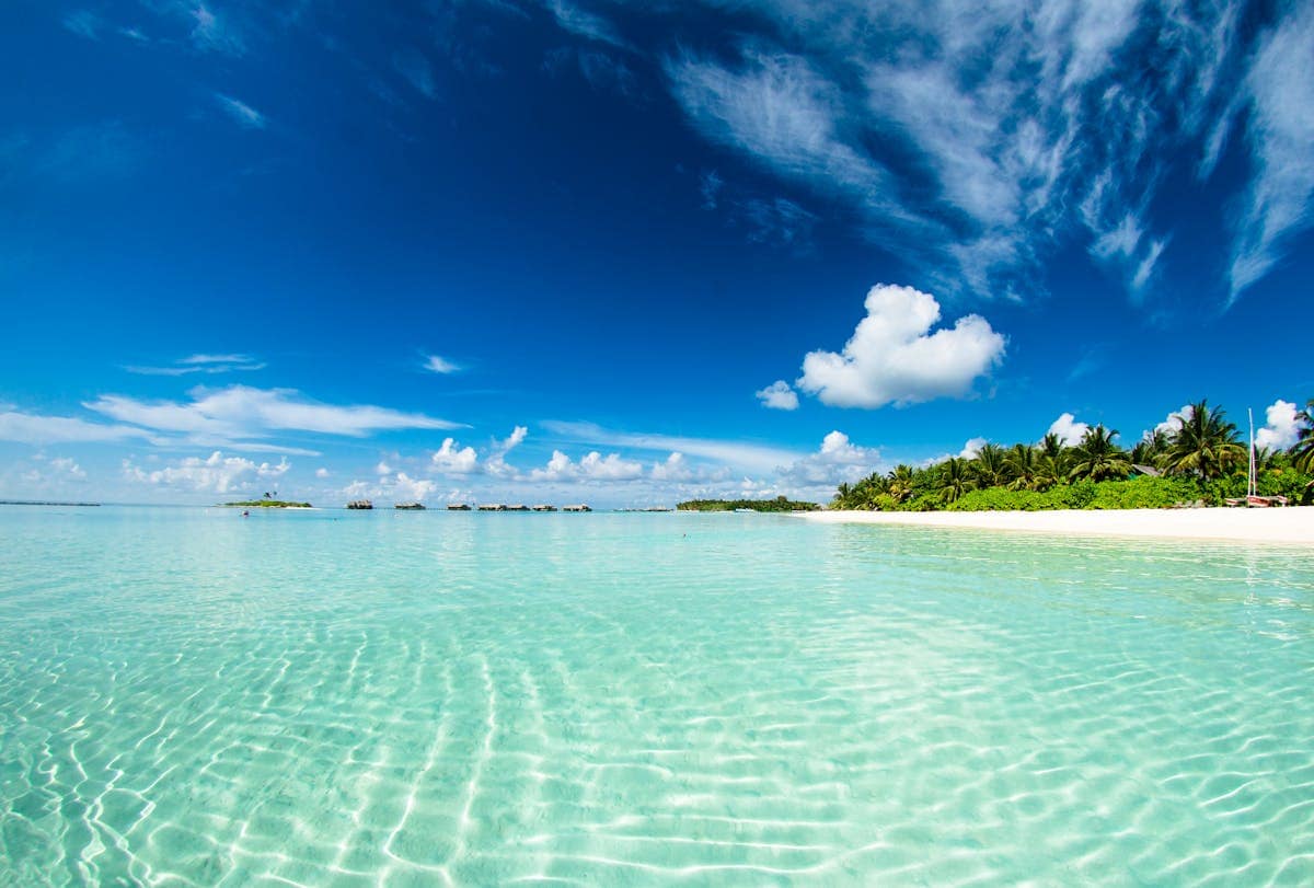 Turquoise tropical beach with palm-lined island, BA Holidays long-haul destinations