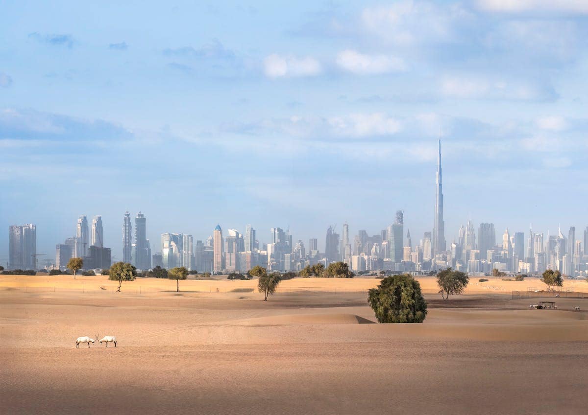 Dubai cityscape viewed from the desert at sunset