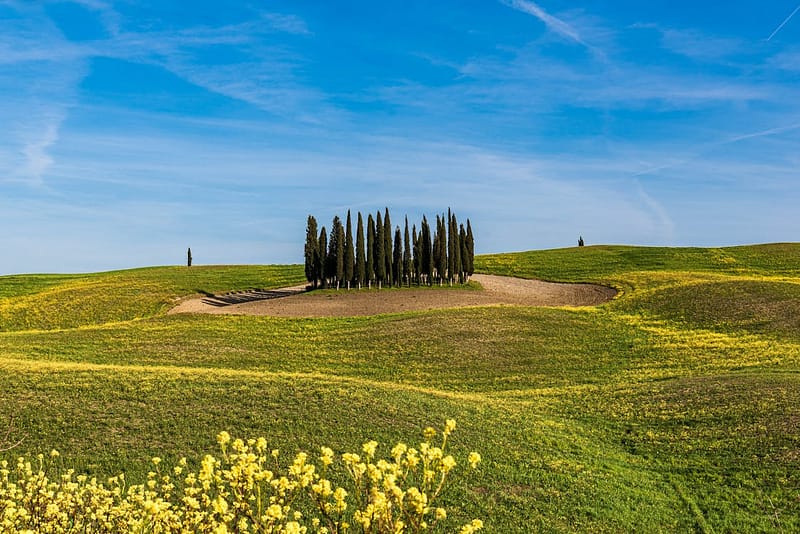 Scenic road lined with cypress trees through the Tuscan hills, Italy